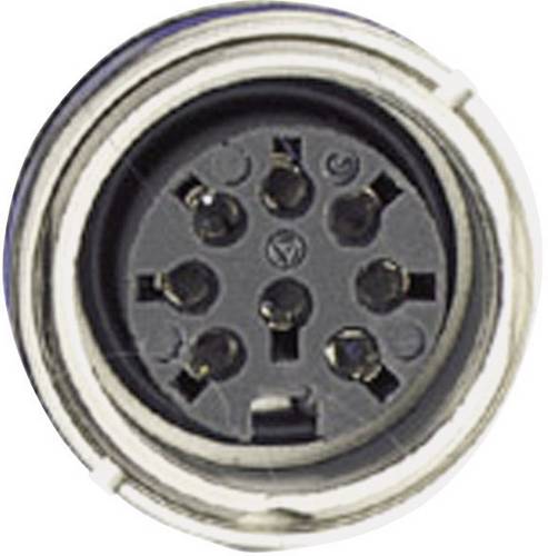 Amphenol C091 31N007 100 2 Rundstecker Buchse, Einbau Gesamtpolzahl: 7 Serie (Rundsteckverbinder)
