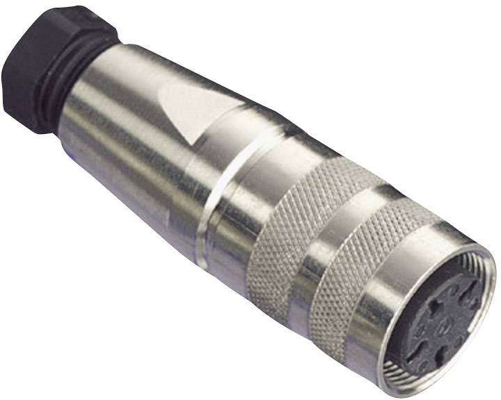 Amphenol C091 31D003 100 2 Rundstecker Kupplung, gerade Gesamtpolzahl: 3 Serie (Rundsteckverbinder)