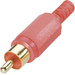 BKL Electronic 0104002/T Cinch-Steckverbinder Stecker, gerade Polzahl (num): 2 Rot