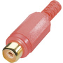 BKL Electronic 0105002/T Cinch-Steckverbinder Buchse, gerade Polzahl (num): 2 Rot