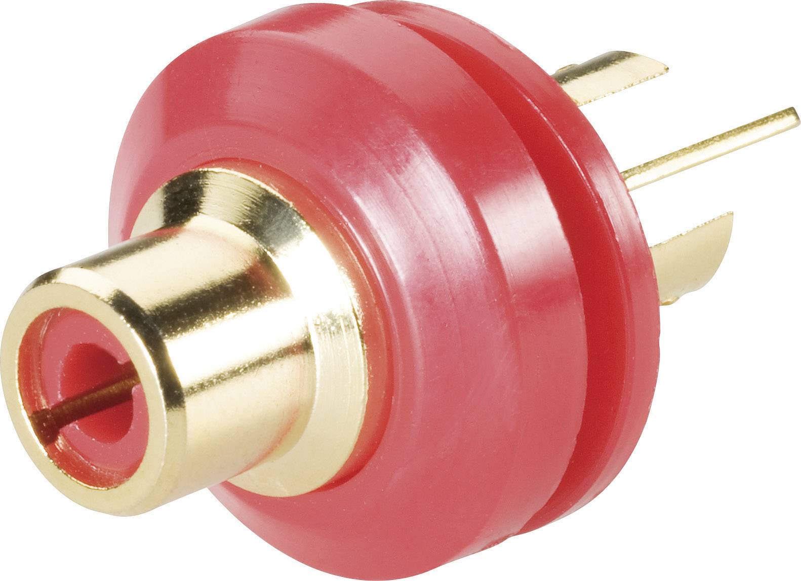 BKL Electronic 0101148/T Cinch-Steckverbinder Buchse, Einbau vertikal Polzahl: 2 Rot 1St.