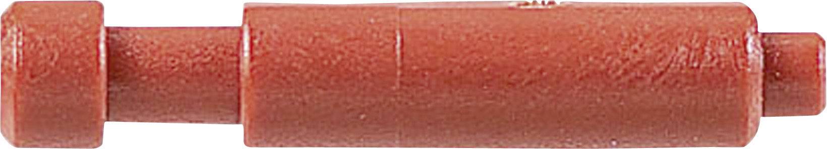 Ein rot lackierter Dübel mit zylindrischer Form. Verwendet zum stabilen Fixieren von Schrauben in Wänden oder anderen Oberflächen.