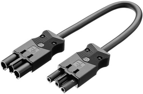 Adels-Contact AC 166 VLCG/315 100 Netz-Anschlusskabel Netz-Stecker - Netz-Buchse Gesamtpolzahl: 2 +