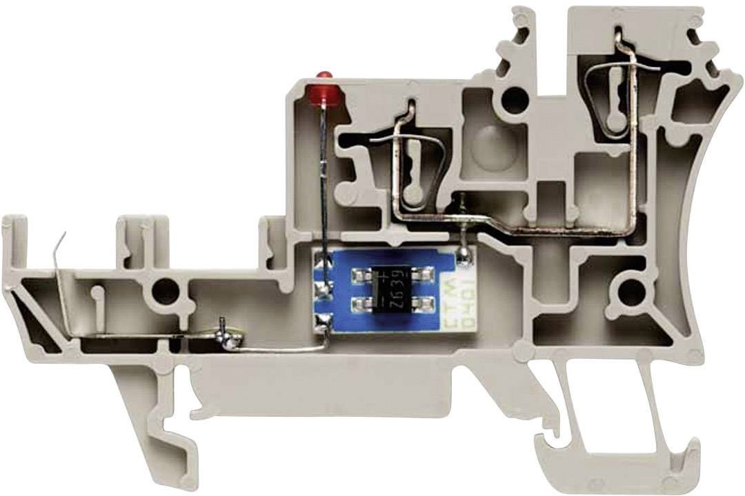 Ein Querschnitt eines Klemmenblocks zeigt die interne Verdrahtung und Mechanismen, einschließlich eines blauen Moduls mit Metallkontakten.