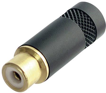 Goldener und schwarzer Audioadapter mit RCA-Buchse auf einer Seite.