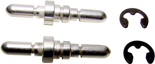 Provertha 114TF125002 Halterungsbolzen Silber 2St.