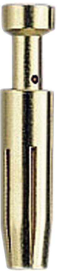 Ein metallener Hohlstecker, vertikal positioniert, vermutlich Teil eines elektronischen Verbindungselements.