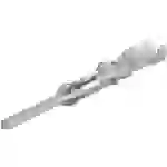 TE Connectivity 163086-1 Rundstecker Einzelkontakt Stiftkontakt Gesamtpolzahl: 1 Serie (Rundsteckverbinder): CPC TE Connectivity 163086-1 Rundstecker Einzelkontakt Stiftkontakt Gesamtpolzahl: 1 Serie (Rundsteckverbinder): CPC