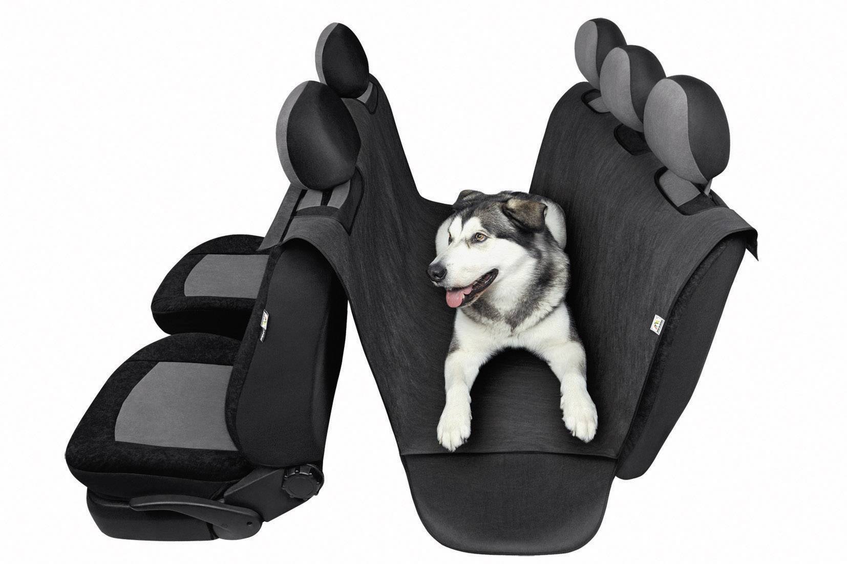 Ein Hund sitzt auf einem schwarzen Rücksitzbezug für Autos, der den gesamten Rücksitz abdeckt, mit Kopfstützen zur Unterstützung.