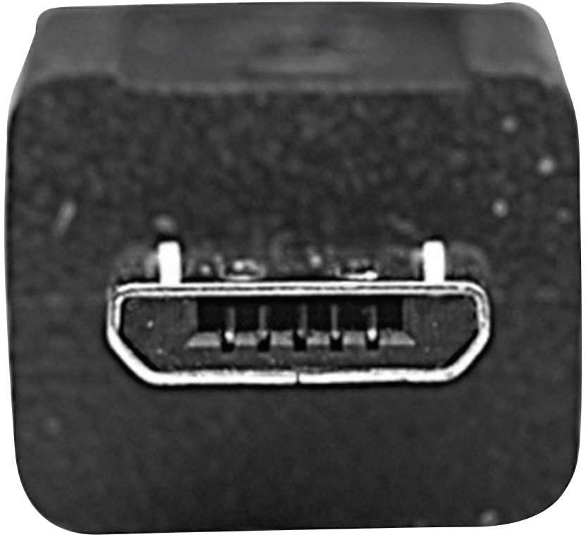 USB Mini-B Anschluss in Nahaufnahme, zeigt die fünf Pins in einer rechteckigen, trapezförmigen Buchse.