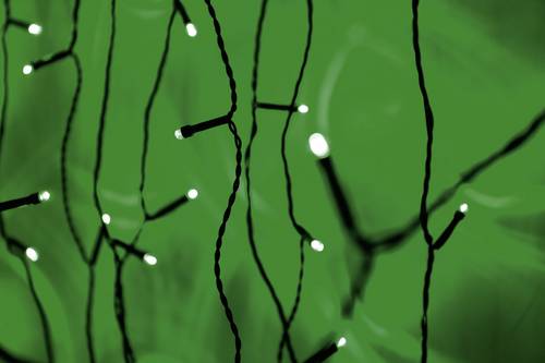 PLC-03-004 Micro-Lichterkette Außen netzbetrieben Anzahl Leuchtmittel 80 LED Beleuchtete