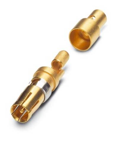 Phoenix Contact VS-ST-KX-50-RG174 Koaxial-Stiftkontakt Vergoldet 10St.