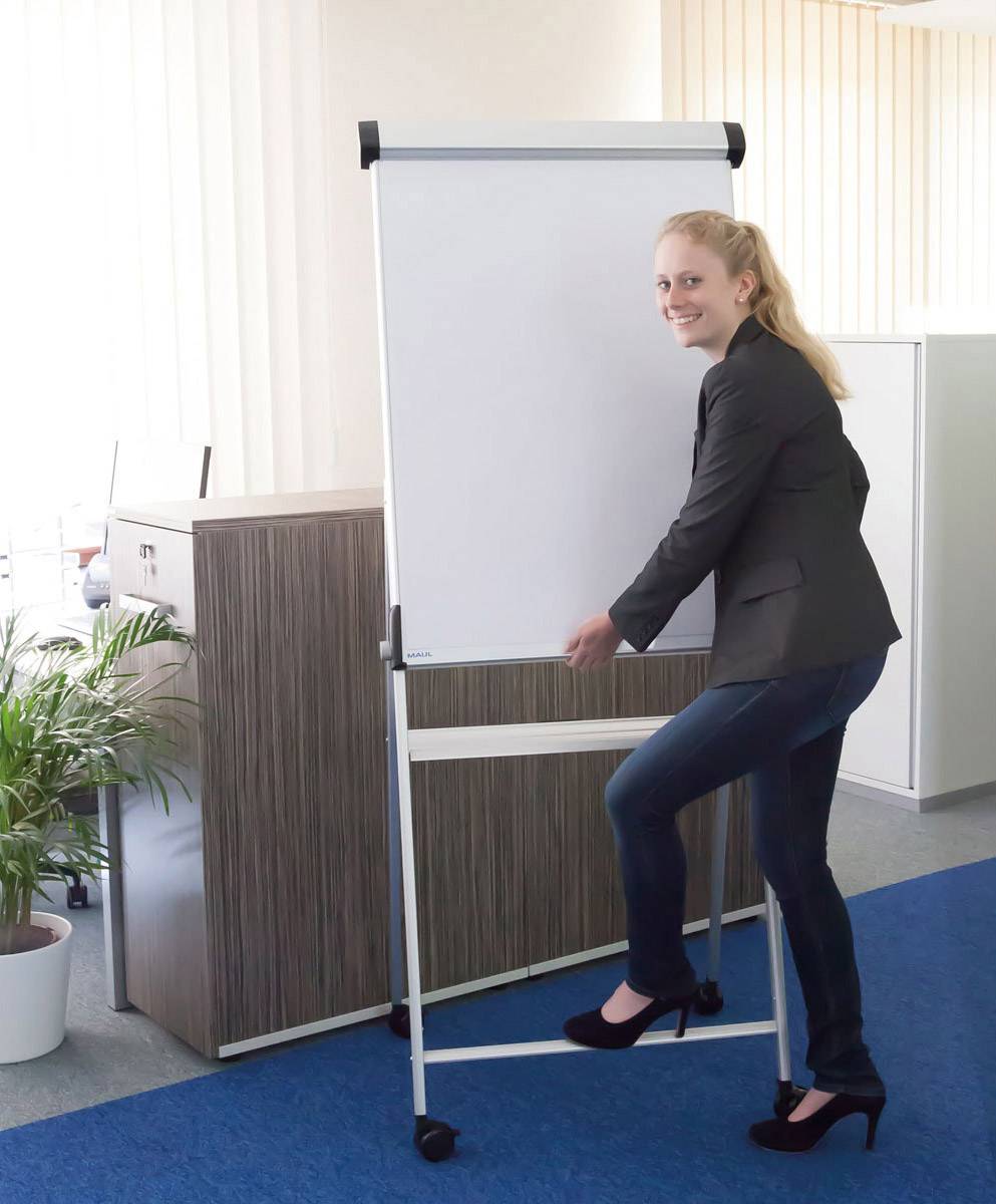 Eine Frau im Anzug steht neben einem leeren Flipchart in einem Büro, lächelt und hält den Ständer fest. Pflanze und Schränke im Hintergrund.