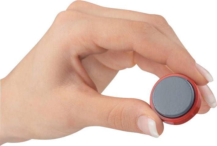 Maul Magnet MAULpro (Ø x H) 30 mm x 10 mm rund, Facettrand Schwarz 4 St. 6177290