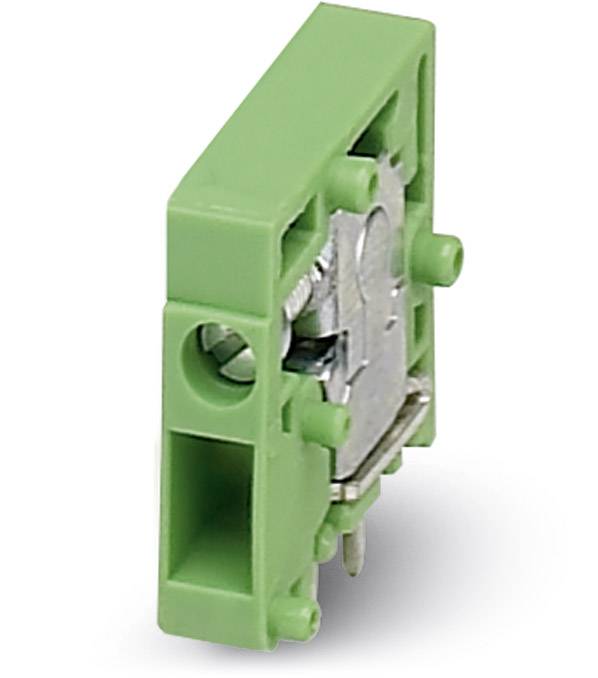Grüner elektrische Konnektor, seitlich montiert, mit zwei Schraubverbindungen und Metallkontakten. Verwendet für elektrische Schaltungen.