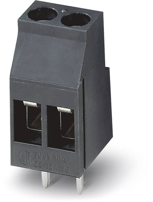 Zweipoliger schwarzer Steckverbinder aus Kunststoff, geeignet für 300V und 10A, mit Metallkontakten und zwei Einstecköffnungen.