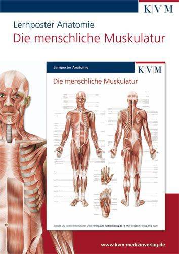 Lernposter Anatomie - 9783940698117
