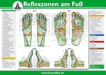 Reflexzonen am Fuß (2 Tafeln A4)