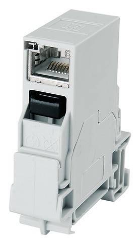 Telegärtner 100007437 Tragschienen-Verbinder RJ45 100007437 Kupplung, Einbau Pole: 8P8C Lichtgrau 1 St.