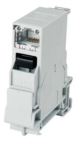 Telegärtner 100007436 Tragschienen-Verbinder RJ45 100007436 Buchse, Einbau Pole: 8P8C Lichtgrau 1 St.