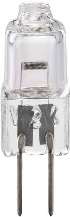 Scharnberger+Hasenbein Halogenlampe 8x31mm 42432