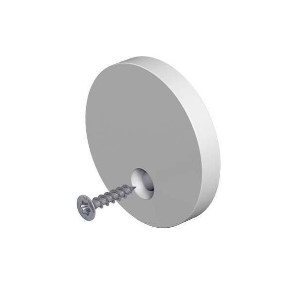 Ein runder Scheibendübel mit einem Schraubloch, in dem eine Schraube platziert ist. Geeignet für Wandbefestigungen.