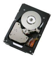 IBM 300 GB Interne Festplatte 8.9 cm (3.5 Zoll) SAS 49Y1856