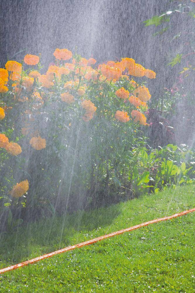 Aluminium-Seilzugleiter 2-teilig mit nivello®-Traverse 2 x 16 Sprossen