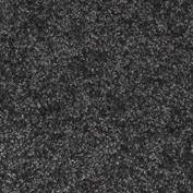 Schmutzfangmatte Eazycare Color 90x150cm schwarz