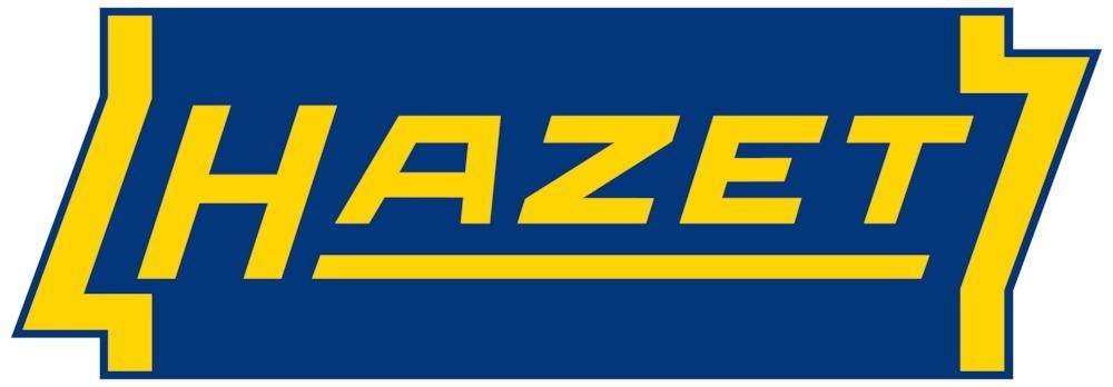 Ersatznadeln f. Nadelentroster 19St Hazet