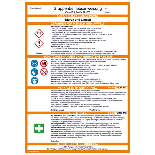 Gruppenbetriebsanweisung, S?uren und Laugen, Kunststoff, Gr?áe: 21,0 x 29,7 cm