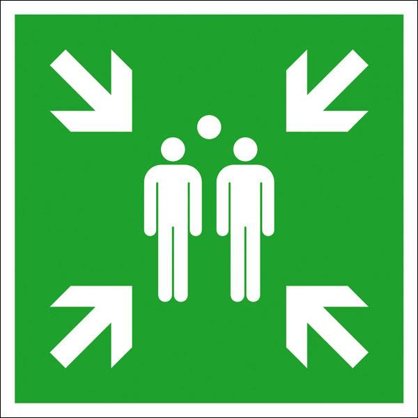 Rettungsschild, Sammelstelle, Folie, 20,0 x 20,0 cm DIN EN ISO 7010 E007 ASR A1.3 E007