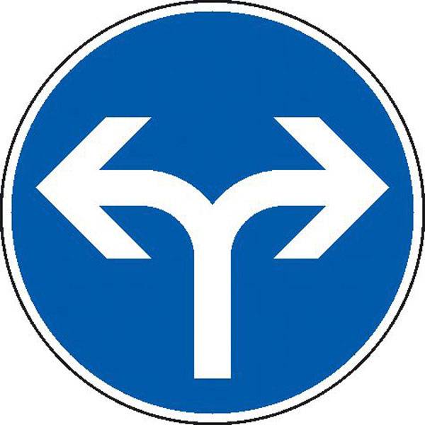 Vorgeschriebene Fahrtrichtung, Verkehrsschild StVO, Nr. 209-31, 42,0 cm StVO - Nr. 209-31