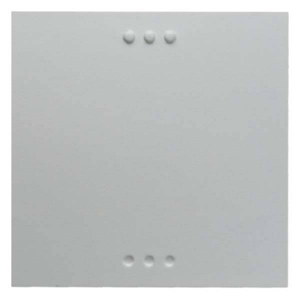 Berker BLC Taste pws 17611909