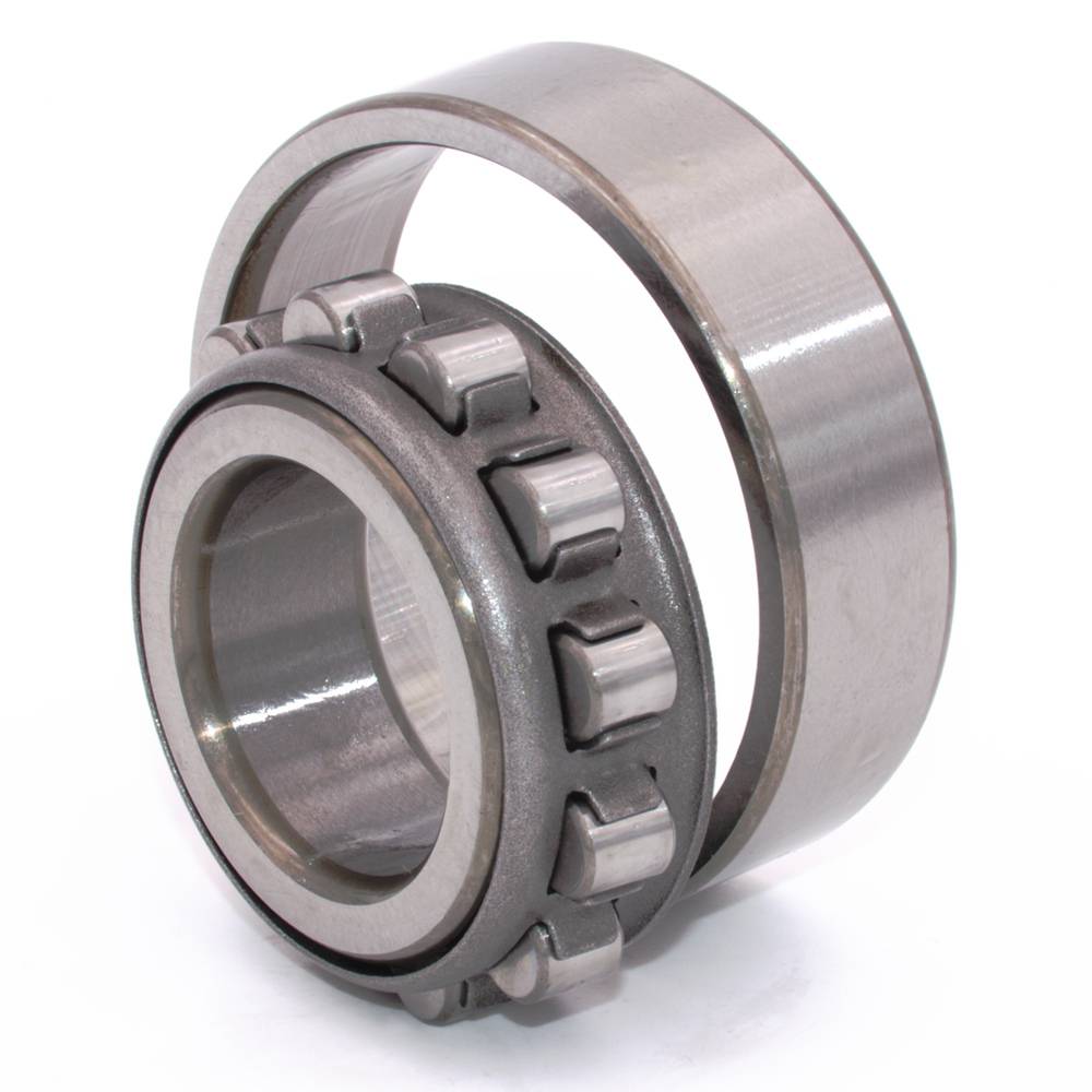 Zylinderrollenager N 209 W NSK 45X85X19 mm Außenring ohne Borde Blechkäfig