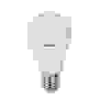 Sylvania LED Birnenlampe Toledo 11W (75W) E27 827 300° DIM matt