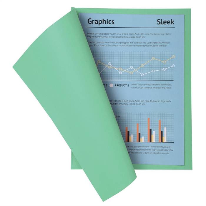 EXACOMPTA Aktendeckel SUPER 250, DIN A4, dunkelgrün