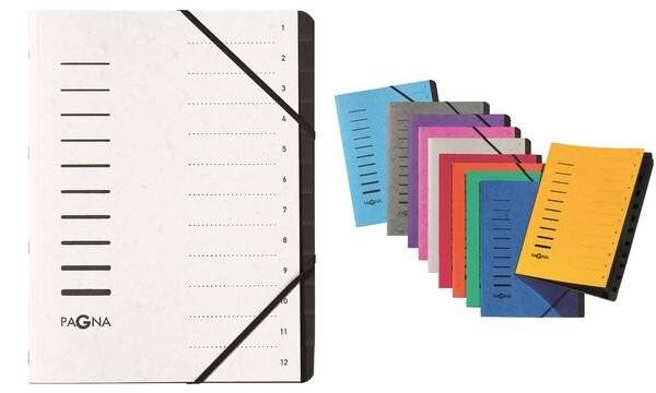 PAGNA Ordnungsmappe DIN A4 280g/m² Pressspankarton grün 12 Fächer