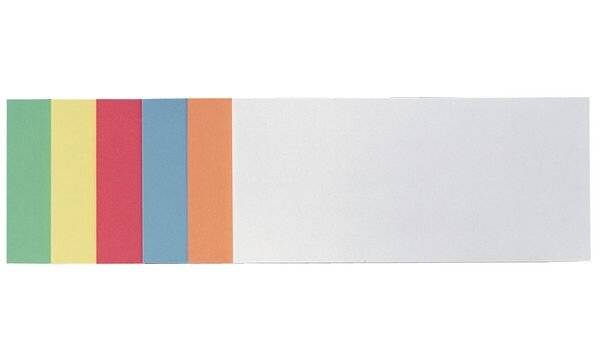 FRANKEN Moderationskarte, Rechteck, 205 x 95 mm, sortiert (70010323)