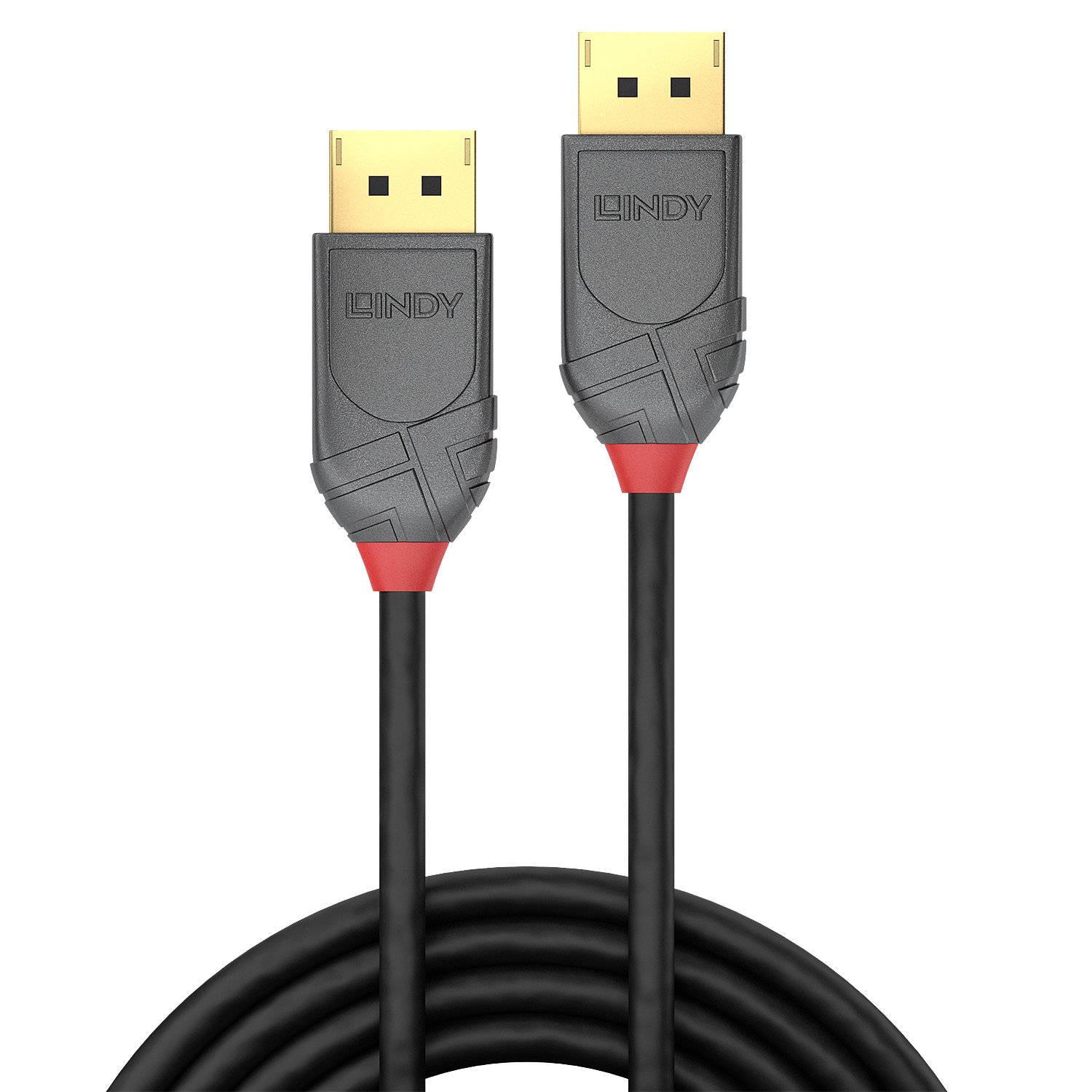 LINDY DisplayPort Anschlusskabel DisplayPort Stecker, DisplayPort Stecker 0.50 m Schwarz 36480 8K UHD DisplayPort-Kabel