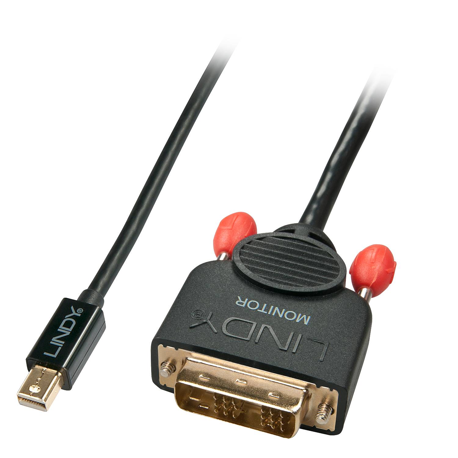 LINDY Mini-DisplayPort / DVI Adapterkabel Mini DisplayPort Stecker, DVI-D 18+1pol. Stecker 2.00 m Schwarz 41952 DisplayPort-Kabel