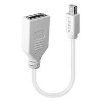 Lindy 41021 Adapterkabel Mini-DP (M)/DP (F) Kupplung, Premium geschirmt