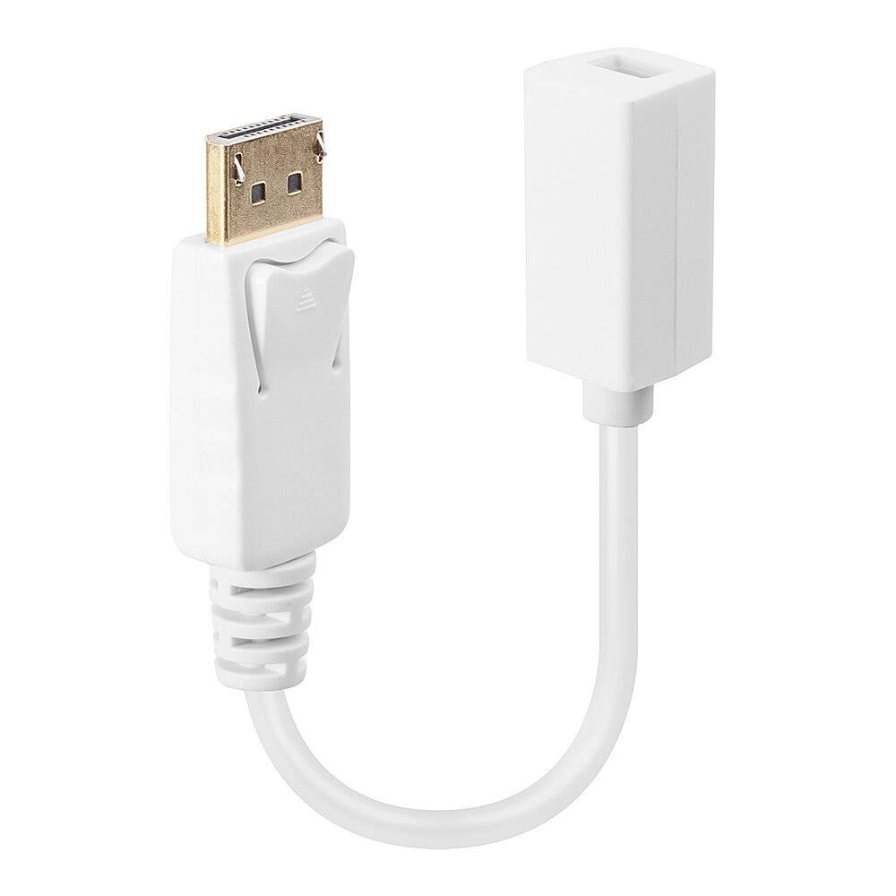 LINDY 41060 DisplayPort / Mini-DisplayPort Adapterkabel [1x DisplayPort Stecker - 1x Mini-DisplayPort Buchse] Weiß 15.00 cm