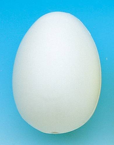 Ei Plastik Weiss - 60x45mm