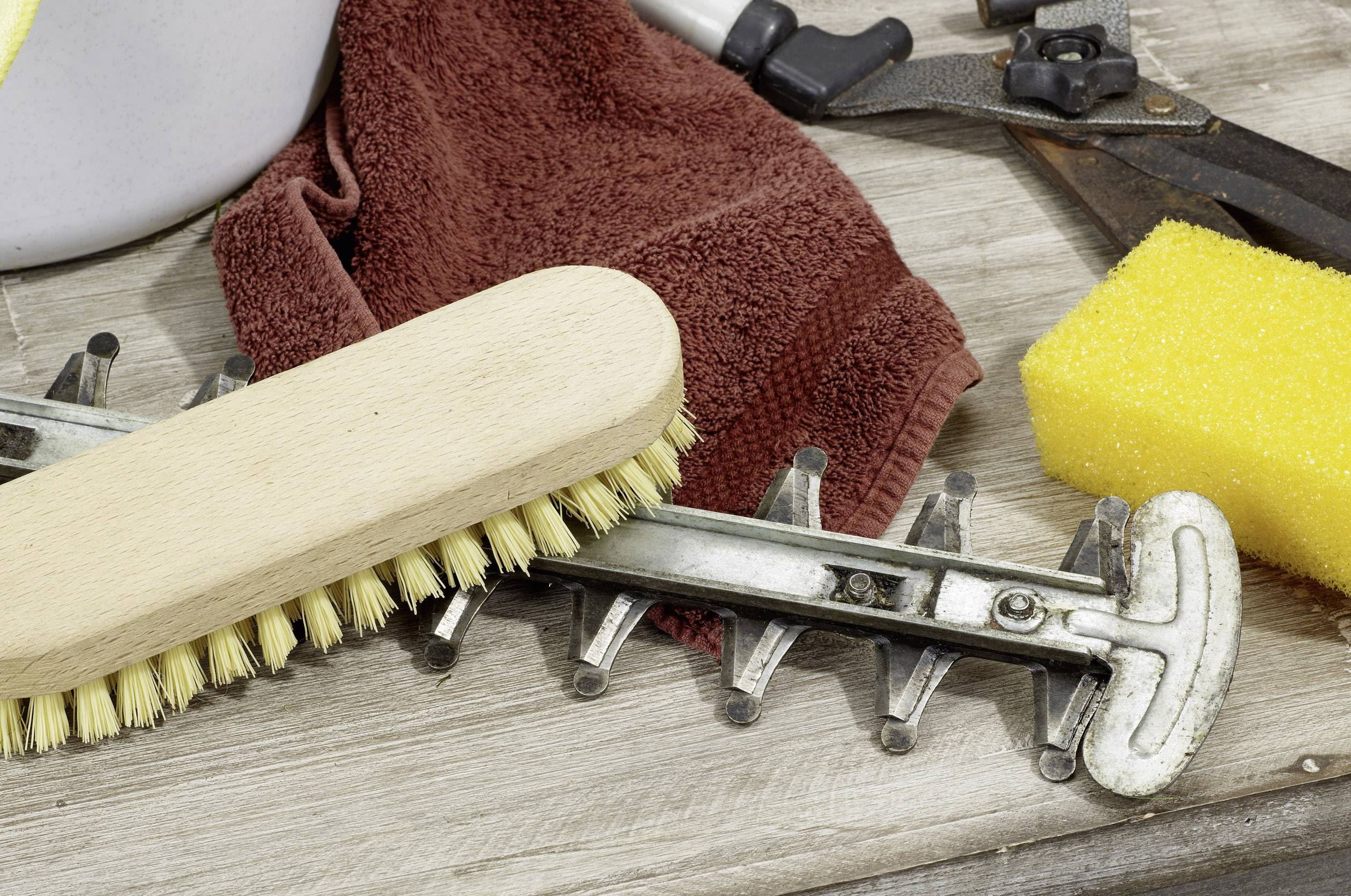 Reinigungsutensilien auf einem Tisch: Eine Holz-Bürste, ein rotbraunes Tuch, ein gelber Schwamm und Astschneider sind sichtbar.