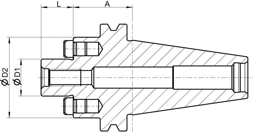 Aufsteckfräserdorn DIN69871AD SK50-22 FORMAT GT