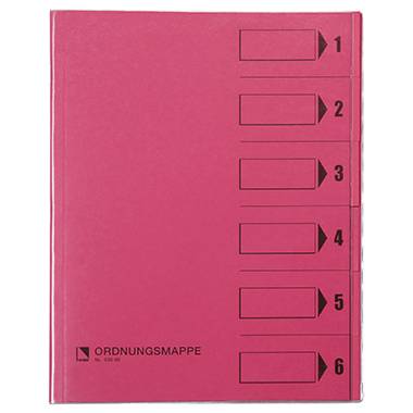 ESSELTE LEITZ - bene - Gliederungsordner - 6 Teile - für A4 - mit Register