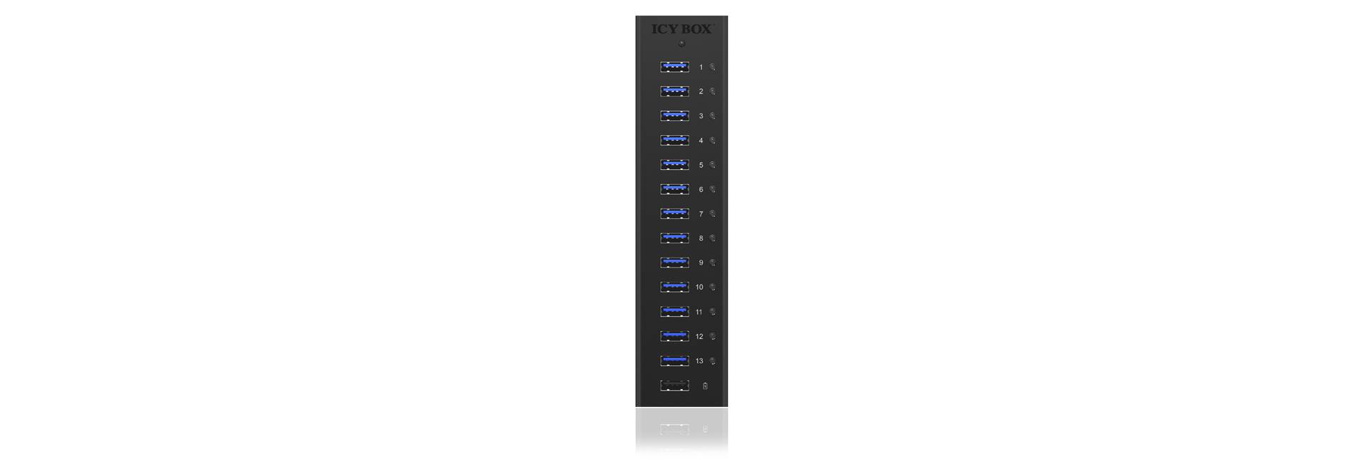 ICY BOX IB-AC6113 USB-Hub 13 Port USB-A USB 3.0 5 GBit/s Schwarz IB-AC6113