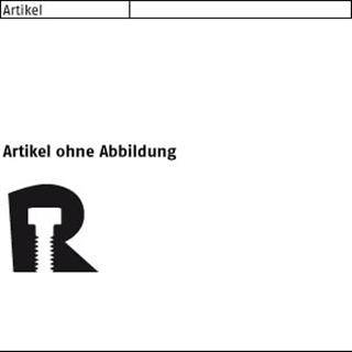 SPAX SeKo T-STAR 12,0x450 VG Wirox