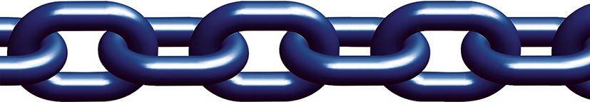 Anschlagkette EN818-2 Sondergüte 10, D 8, P24